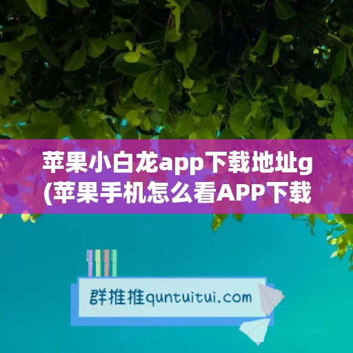 苹果小白龙app下载地址g(苹果手机怎么看APP下载地址)