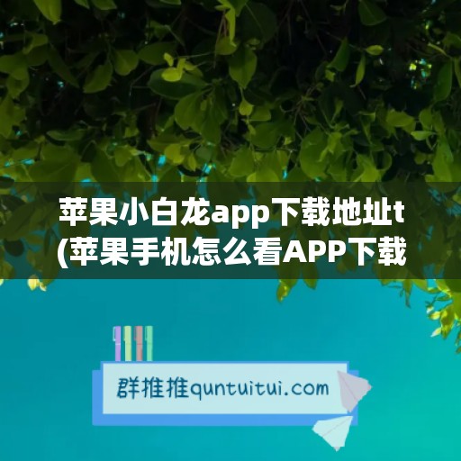 苹果小白龙app下载地址t(苹果手机怎么看APP下载地址)