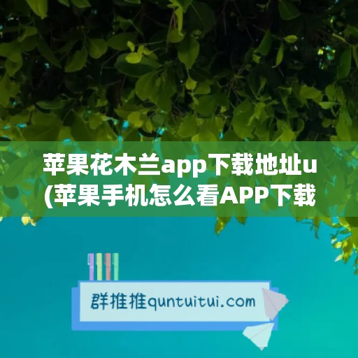 苹果花木兰app下载地址u(苹果手机怎么看APP下载地址)