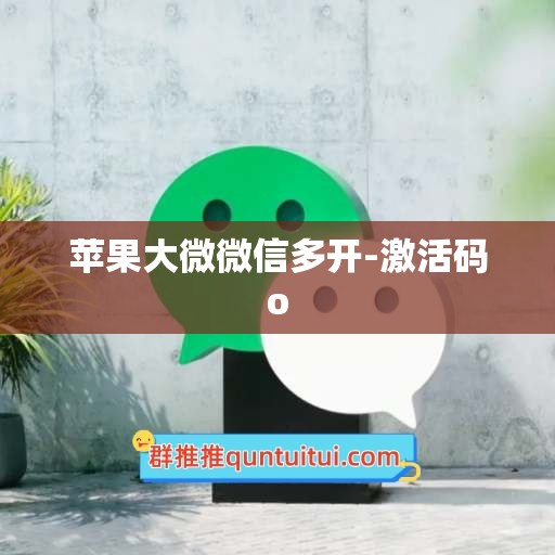 苹果大微微信多开-激活码o