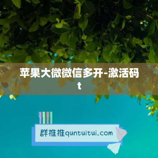 苹果大微微信多开-激活码t