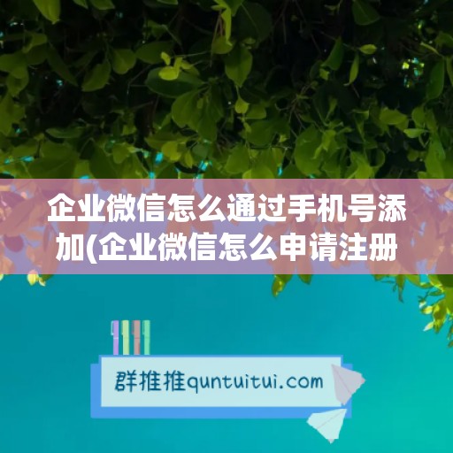 企业微信怎么通过手机号添加(企业微信怎么申请注册)