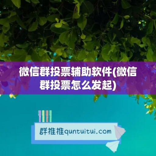 微信群投票辅助软件(微信群投票怎么发起)