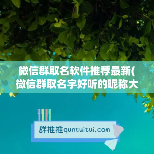 微信群取名软件推荐最新(微信群取名字好听的昵称大全)