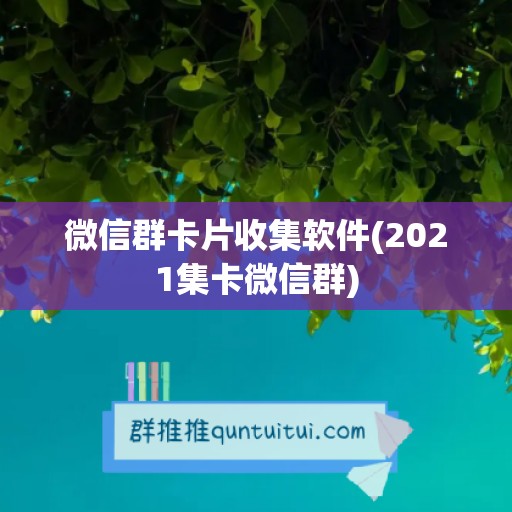 微信群卡片收集软件(2021集卡微信群)