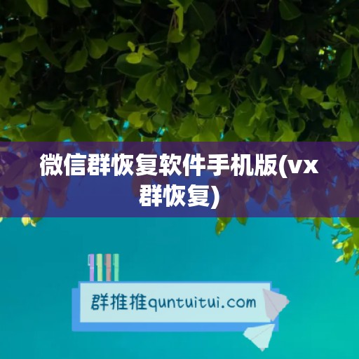 微信群恢复软件手机版(vx群恢复)