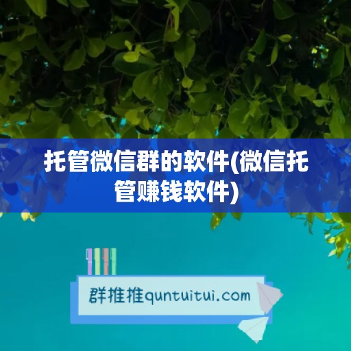 托管微信群的软件(微信托管赚钱软件)