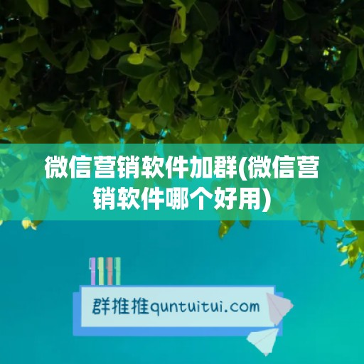 微信营销软件加群(微信营销软件哪个好用)