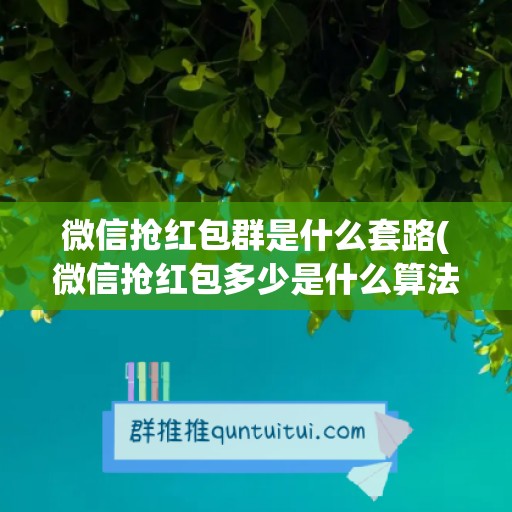 微信抢红包群是什么套路(微信抢红包多少是什么算法)