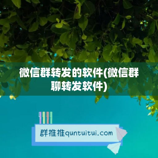 微信群转发的软件(微信群聊转发软件)