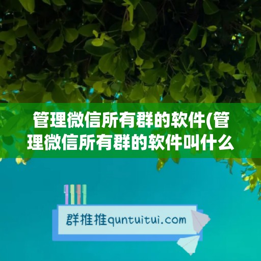 管理微信所有群的软件(管理微信所有群的软件叫什么)