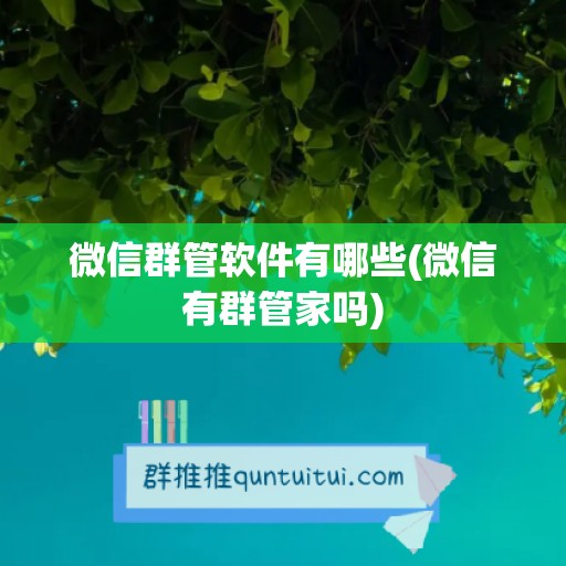 微信群管软件有哪些(微信有群管家吗)