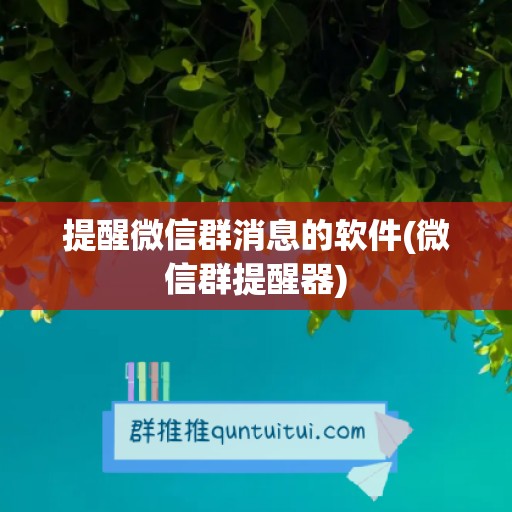 提醒微信群消息的软件(微信群提醒器)