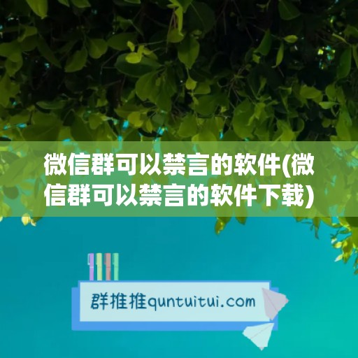 微信群可以禁言的软件(微信群可以禁言的软件下载)