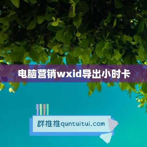 电脑营销wxid导出小时卡