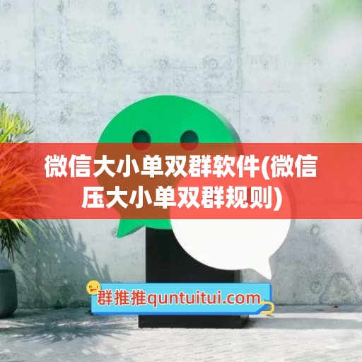 微信大小单双群软件(微信压大小单双群规则)