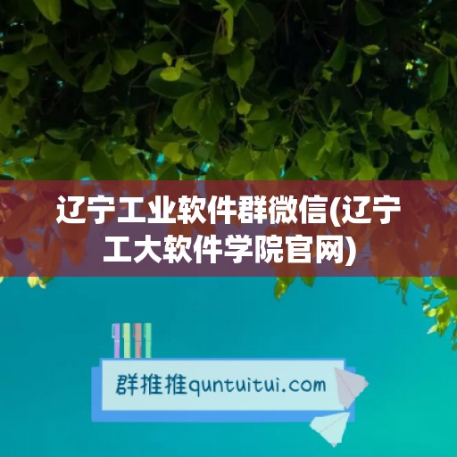 辽宁工业软件群微信(辽宁工大软件学院官网)