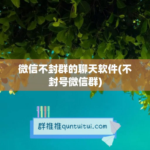 微信不封群的聊天软件(不封号微信群)