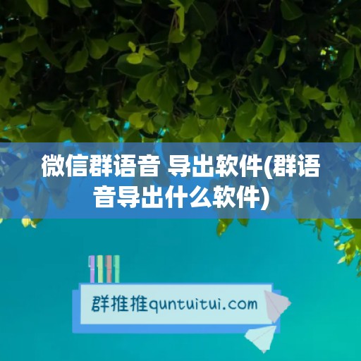 微信群语音 导出软件(群语音导出什么软件)