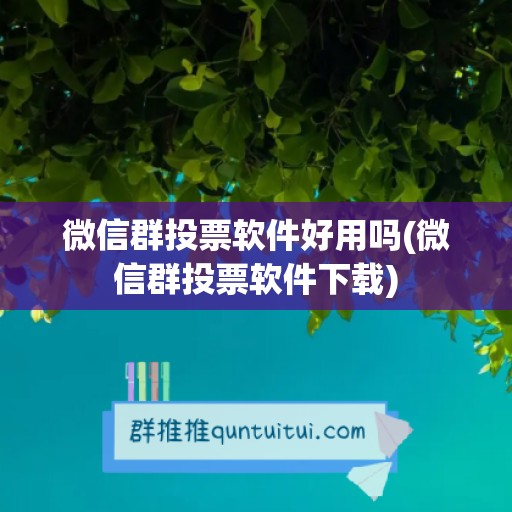 微信群投票软件好用吗(微信群投票软件下载)