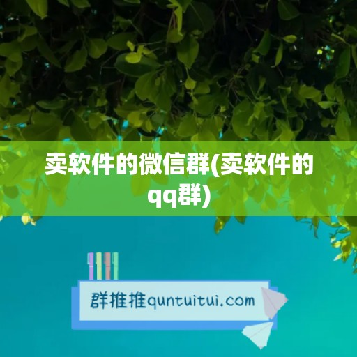 卖软件的微信群(卖软件的qq群)