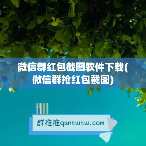 微信群红包截图软件下载(微信群抢红包截图)