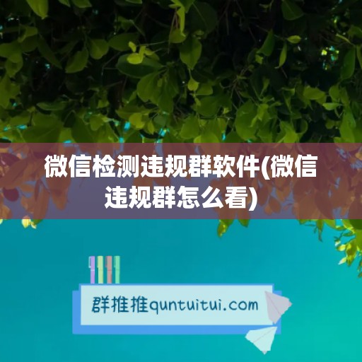 微信检测违规群软件(微信违规群怎么看)