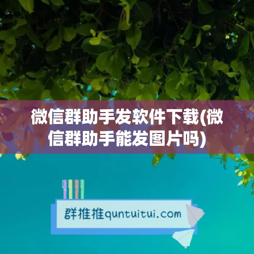 微信群助手发软件下载(微信群助手能发图片吗)