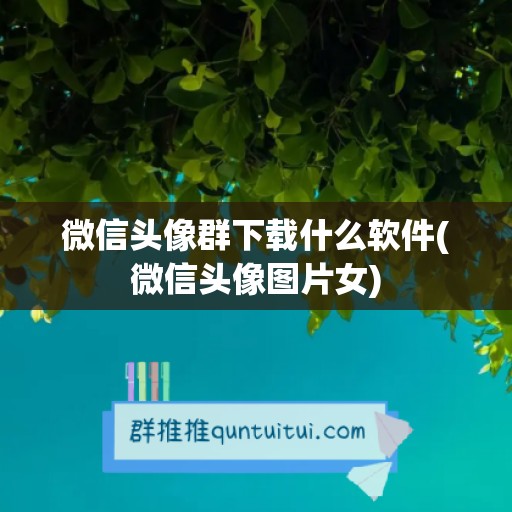 微信头像群下载什么软件(微信头像图片女)