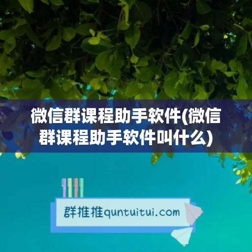 微信群课程助手软件(微信群课程助手软件叫什么)