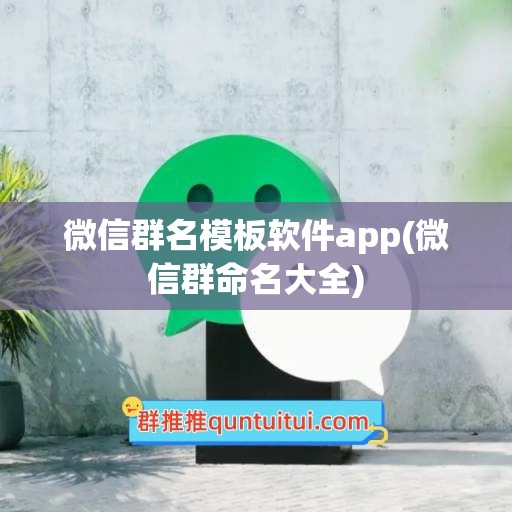 微信群名模板软件app(微信群命名大全)