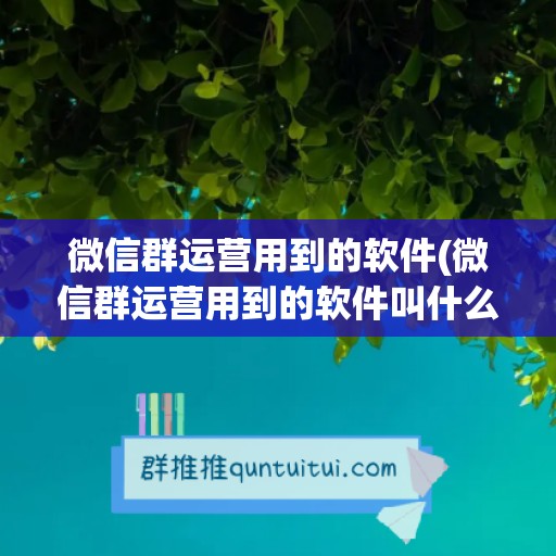 微信群运营用到的软件(微信群运营用到的软件叫什么)