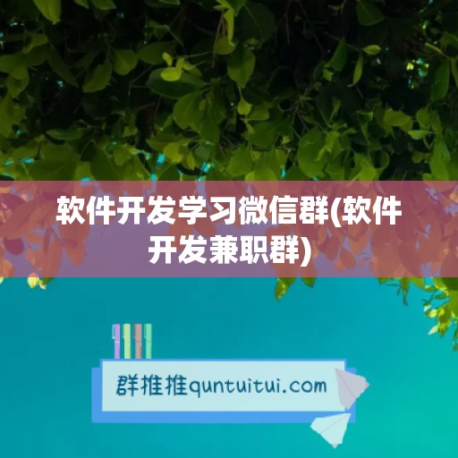 软件开发学习微信群(软件开发兼职群)