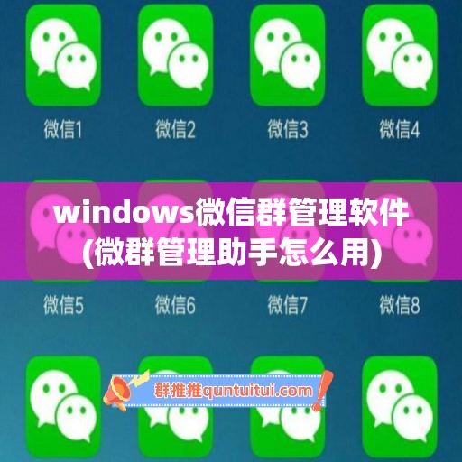 windows微信群管理软件(微群管理助手怎么用)