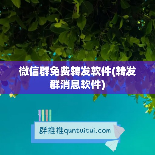 微信群免费转发软件(转发群消息软件)