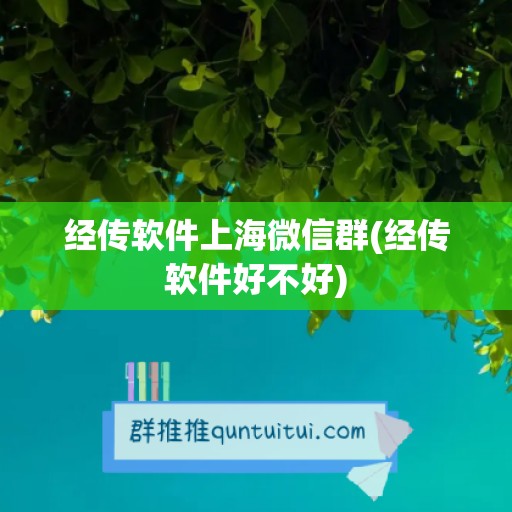 经传软件上海微信群(经传软件好不好)