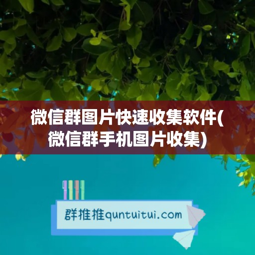 微信群图片快速收集软件(微信群手机图片收集)