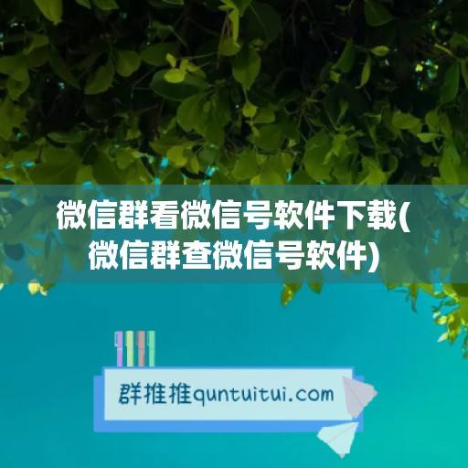 微信群看微信号软件下载(微信群查微信号软件)