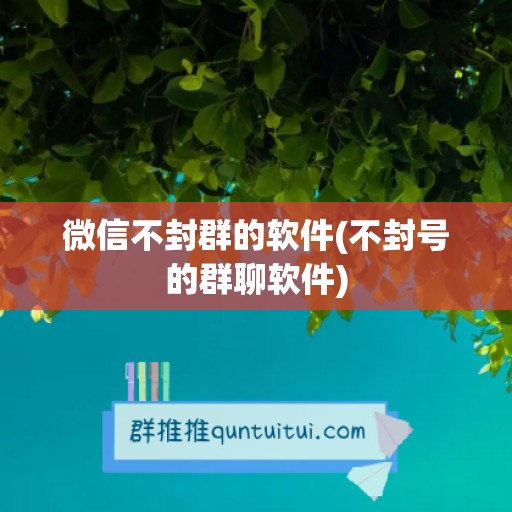 微信不封群的软件(不封号的群聊软件)