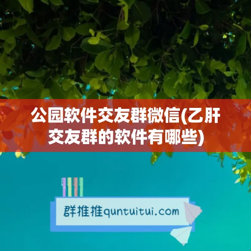 公园软件交友群微信(乙肝交友群的软件有哪些)