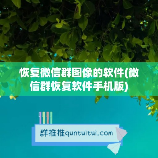 恢复微信群图像的软件(微信群恢复软件手机版)