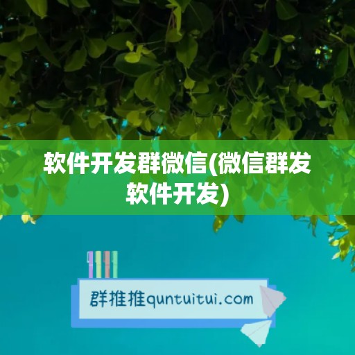 软件开发群微信(微信群发软件开发)