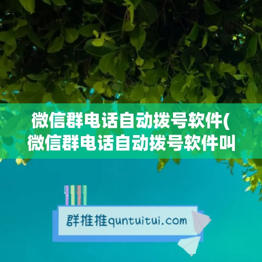 微信群电话自动拨号软件(微信群电话自动拨号软件叫什么)