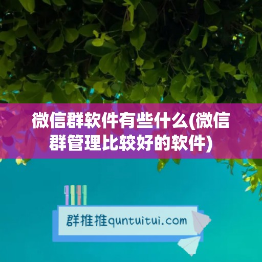 微信群软件有些什么(微信群管理比较好的软件)