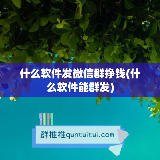 什么软件发微信群挣钱(什么软件能群发)