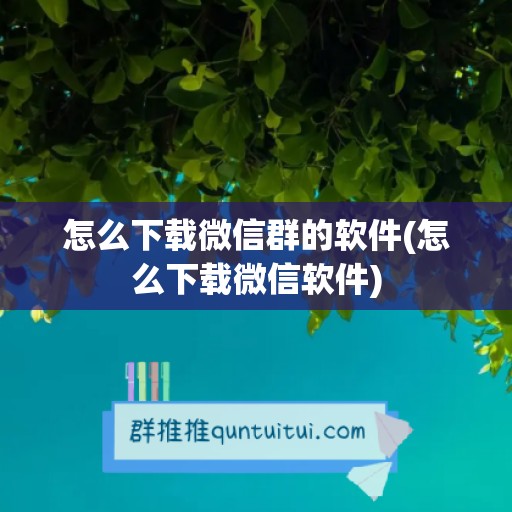 怎么下载微信群的软件(怎么下载微信软件)