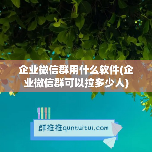 企业微信群用什么软件(企业微信群可以拉多少人)