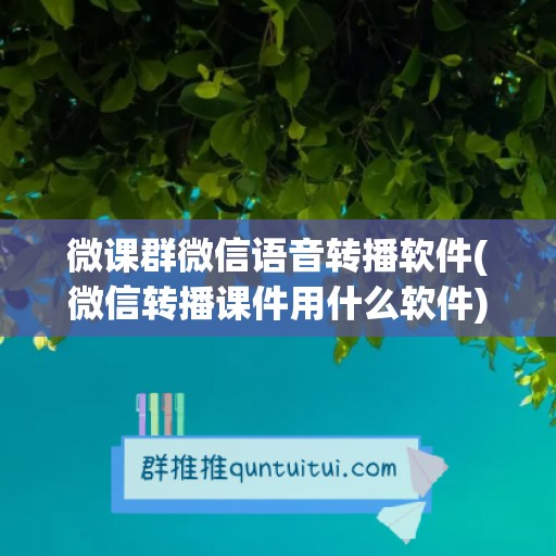 微课群微信语音转播软件(微信转播课件用什么软件)