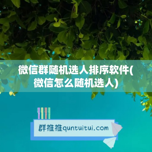 微信群随机选人排序软件(微信怎么随机选人)