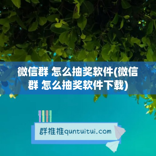 微信群 怎么抽奖软件(微信群 怎么抽奖软件下载)